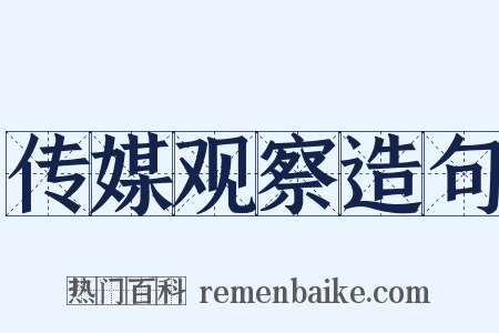 传媒观察造句是什么意思的图片